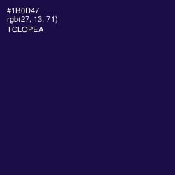 #1B0D47 - Tolopea Color Image