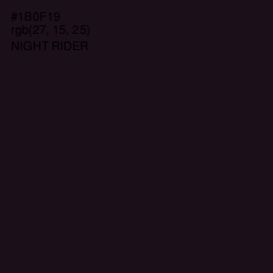 #1B0F19 - Night Rider Color Image