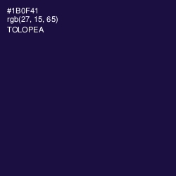 #1B0F41 - Tolopea Color Image