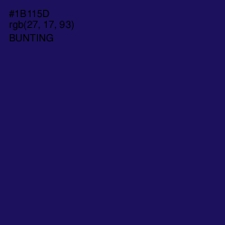 #1B115D - Bunting Color Image