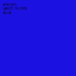 #1B12E1 - Blue Color Image