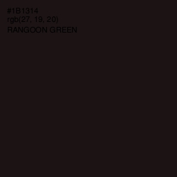 #1B1314 - Rangoon Green Color Image