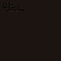 #1B1610 - Hunter Green Color Image