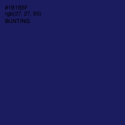 #1B1B5F - Bunting Color Image