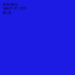 #1B1BE3 - Blue Color Image