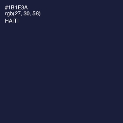 #1B1E3A - Haiti Color Image