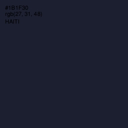 #1B1F30 - Haiti Color Image