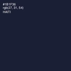 #1B1F36 - Haiti Color Image