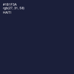 #1B1F3A - Haiti Color Image