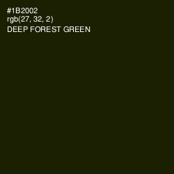#1B2002 - Deep Forest Green Color Image