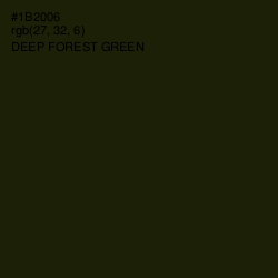 #1B2006 - Deep Forest Green Color Image