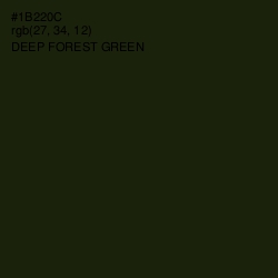 #1B220C - Deep Forest Green Color Image