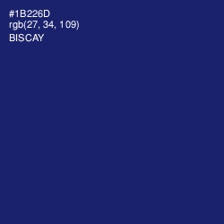 #1B226D - Biscay Color Image