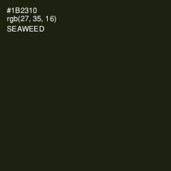 #1B2310 - Seaweed Color Image
