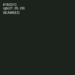 #1B231C - Seaweed Color Image