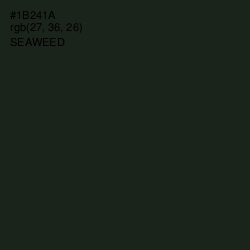 #1B241A - Seaweed Color Image