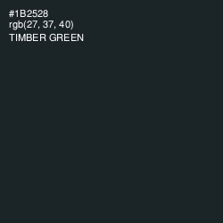 #1B2528 - Timber Green Color Image