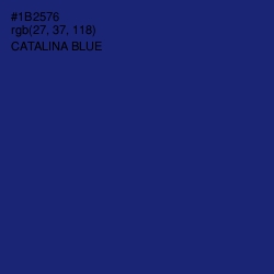 #1B2576 - Catalina Blue Color Image