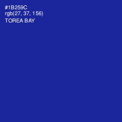 #1B259C - Torea Bay Color Image