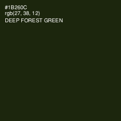 #1B260C - Deep Forest Green Color Image
