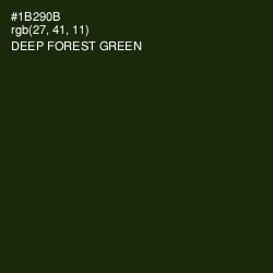 #1B290B - Deep Forest Green Color Image