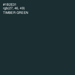 #1B2E31 - Timber Green Color Image