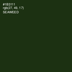 #1B3111 - Seaweed Color Image