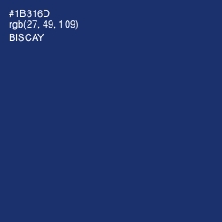 #1B316D - Biscay Color Image