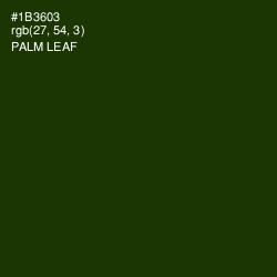 #1B3603 - Palm Leaf Color Image