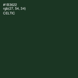 #1B3622 - Celtic Color Image
