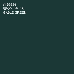 #1B3836 - Gable Green Color Image