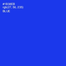 #1B38EB - Blue Color Image