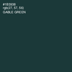 #1B3938 - Gable Green Color Image