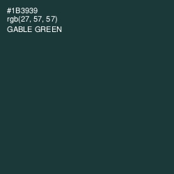 #1B3939 - Gable Green Color Image