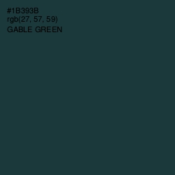 #1B393B - Gable Green Color Image