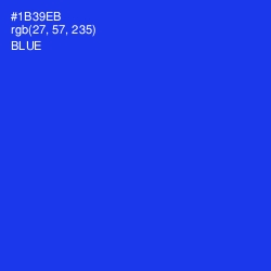 #1B39EB - Blue Color Image