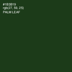 #1B3B19 - Palm Leaf Color Image