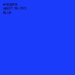 #1B3BFB - Blue Color Image