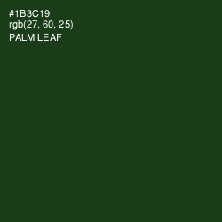 #1B3C19 - Palm Leaf Color Image