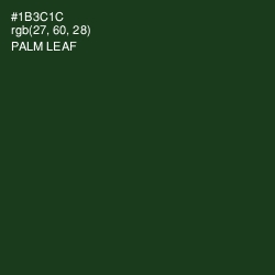 #1B3C1C - Palm Leaf Color Image