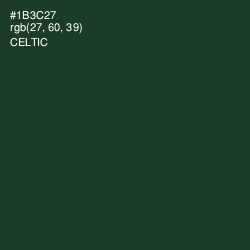 #1B3C27 - Celtic Color Image
