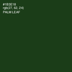 #1B3E18 - Palm Leaf Color Image