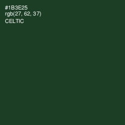#1B3E25 - Celtic Color Image