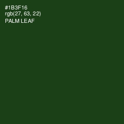 #1B3F16 - Palm Leaf Color Image