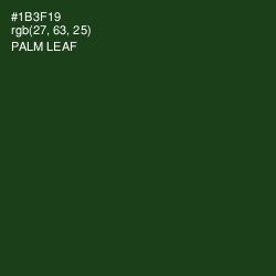 #1B3F19 - Palm Leaf Color Image