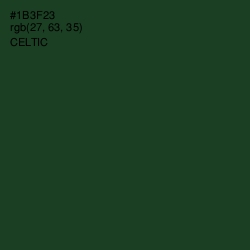 #1B3F23 - Celtic Color Image