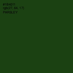 #1B4011 - Parsley Color Image