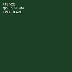 #1B4023 - Everglade Color Image