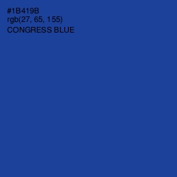 #1B419B - Congress Blue Color Image