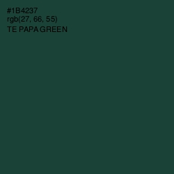 #1B4237 - Te Papa Green Color Image